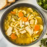 chicken noodle soup 1 1